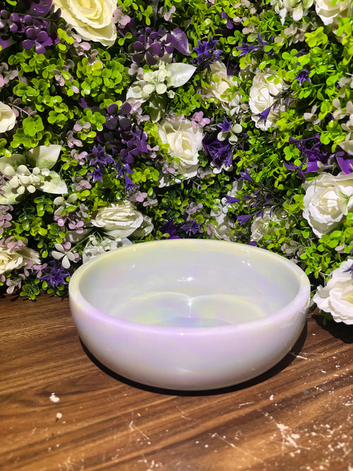8" Dish